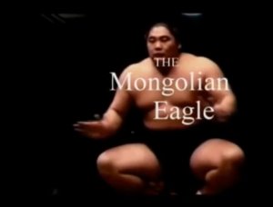 Sumo-The Mongolian Eagle 部屋
