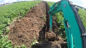 Копаем картофель мини экскаватором.