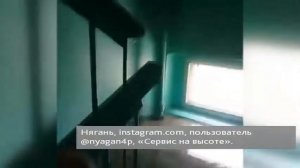 Пользователи сети выкладывают в сеть видео своих встреч с медведями