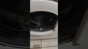 Обзор стиральной машины Samsung WF-F861 после ремонта