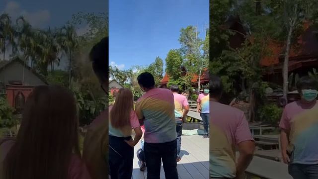 Огромные кувшинки в Таиланде ? Оцените место от 0 до 10 смотреть онлайн