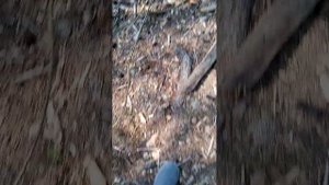 нас атакавали беспелотники или кто это