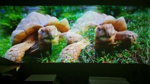 Сравнение картинок лазерных проекторов XGimi Lune (Full HD) и Mi Laser Xiaomi xmitv.ru
