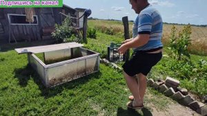 Первый выход цыплят на травку!!!