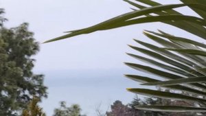 02.02.2020  Сочи Хоста отель Очарование Моря Allure of the Sea