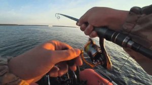 ОТКРЫТИЕ СЕЗОНА на Шексне! Дерзкие поклёвки судака. Поймал всю рыбу