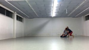 contact meets contemporary partnering work