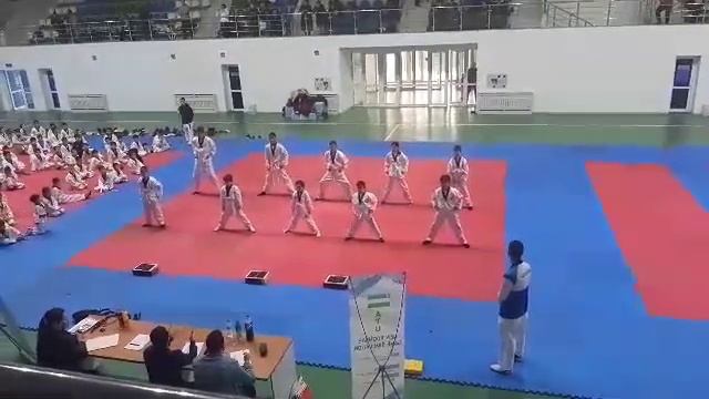 Упражнение по таеквондо wtf ???