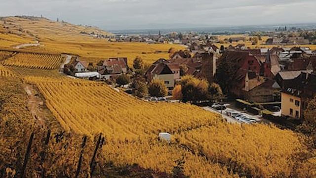 Сосед построил дом и закрыл соседям красивый вид. Соседи в долгу не остались смотреть онлайн