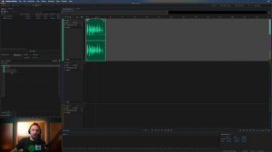 How to Copy and Paste Audio Effects to Other Clips - Adobe Audition Tutorial