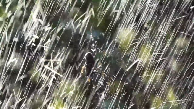 Samsung Galaxy Camera Review - DOES IT SUCK? смотреть онлайн