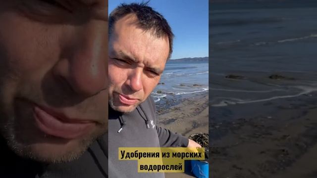 Удобрение из морских водорослей. Морская капуста смотреть онлайн