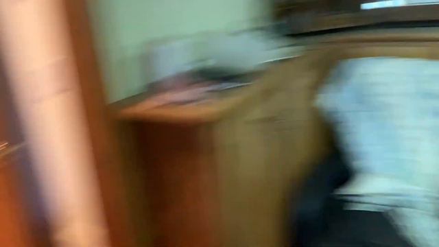 AKC Doberman Puppies For Sale in Connecticut, New York, Massachusetts, New England Reputable breede смотреть онлайн