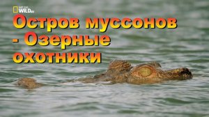 Nat Geo Wild Остров муссонов - Озерные охотники