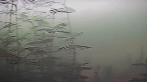 Окунь. Тростенское озеро. Зимняя рыбалка, январь 2020. Расширенная версия.