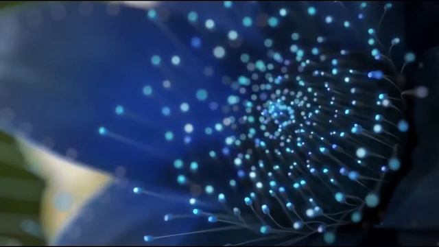 Samsung QLED - "LED TECHNOLOGY" смотреть онлайн