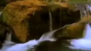 Старинная Цудахарская песня .