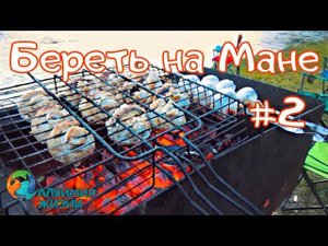 #2 Понедельник-радостный день/Готовим на углях/Река "МАНА"/Береть