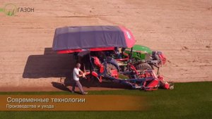 Производство рулонного газона компанией ЭКО-ГАЗОН