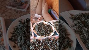 Рекомендую чай из листьев вишни