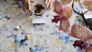 СЕРДЕЧНАЯ ЧАКРА.ОТЛИВКА ВОСКОМ.ЧИСТКА СЕРДЕЧНО СОСУДИСТОЙ СИСТЕМЫ.