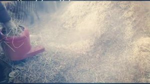 Измельчитель сена своими руками.