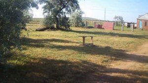 Голубицкая кемпинг часть1