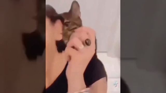 ДомашниеПитомцы