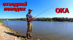 ЧЕМ ДАЛЬШЕ, ТЕМ КРУПНЕЕ. Рыбалка на СПИННИНГ на ОКЕ.