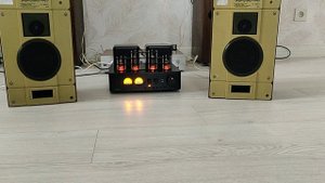 Акустическая система Радиотехника s30b и гибридный ламповый усилитель Juson JTA 50