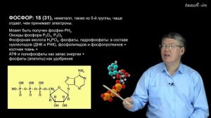 Дубынин В.А. - 100 часов школьной биологии - 2.1. Вода и минеральные соли. Органические соединения