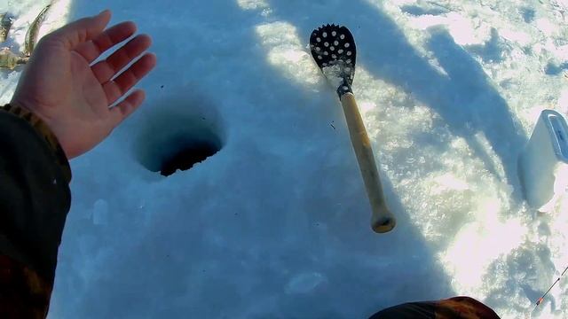 Попал на раздачу окуней, даже крючки ломаются на мормышке. Ловля окуня в конце марта. Часть первая смотреть онлайн