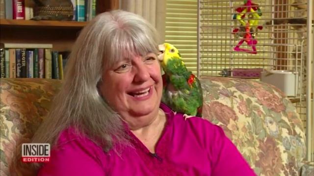 Услышав крики о помощи, доносившиеся из дома — почтальон вызвал полицию. Дальше у всех был шок! смотреть онлайн