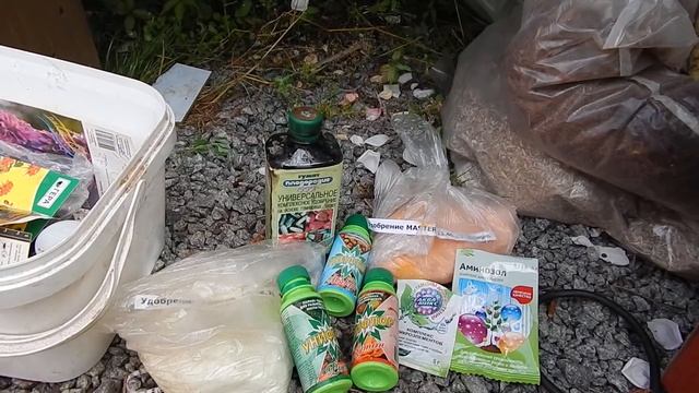 Обработки роз по листу.Самые основы.Всё по полочкам.Всё просто!