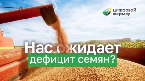 Рынок семян подсолнечника в 2024. Что ждёт фермеров дальше?