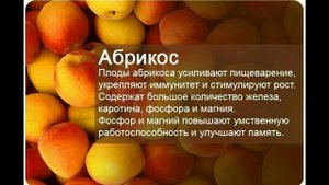 Абрикос  польза и магические свойства.mp4