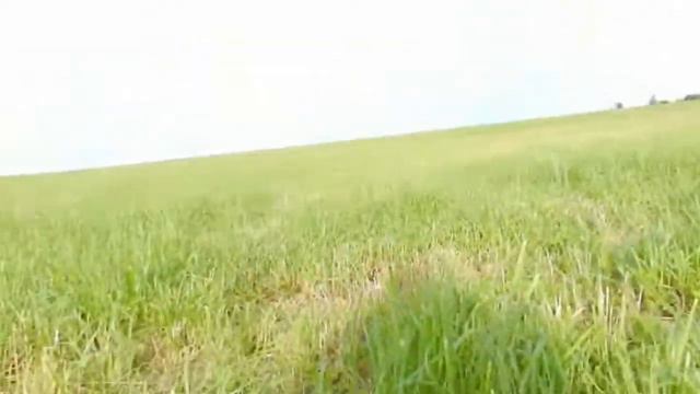 КОП или Монеты для земляного деда !!! смотреть онлайн