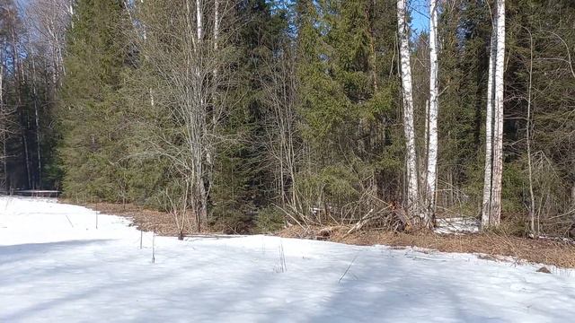 снег в лесу Аномальной зоне #молебка #нло #контактер смотреть онлайн