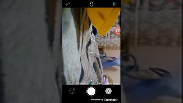 Скритая камера смотреть онлайн