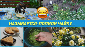 Влог?Не поем, так понадкусываю....Пеку пирог с творогом/Шпинат на зиму