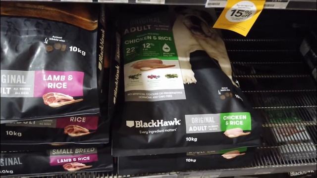 #27 - Vlog Как завести домашнее животное Новая Зеландия Окленд смотреть онлайн