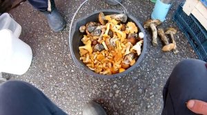 Сколько зарабатывают перекупы на рынке | Куда продать грибы ягоду | Истра