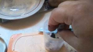 Насадка из сала тути фрути свойми руками.