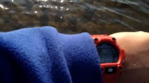 Ловля на донку в г.Вельск