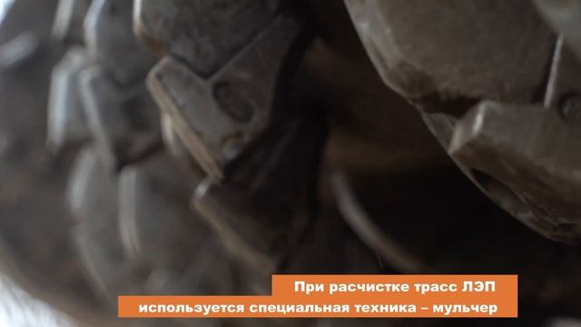Расчистка просек ЛЭП