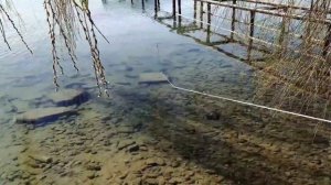 Ловим поисковый магнитом метал на заброшенном пляже