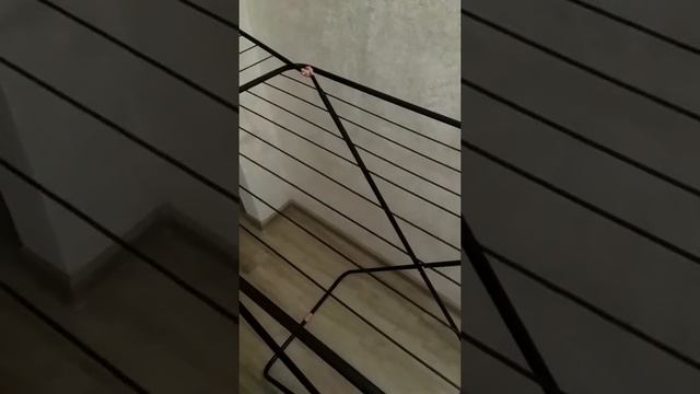 Видеобзор на сушилку Perilla / House Plus LD-2001 смотреть онлайн