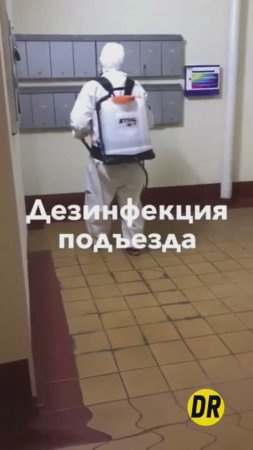 Дезинфекция подъезда