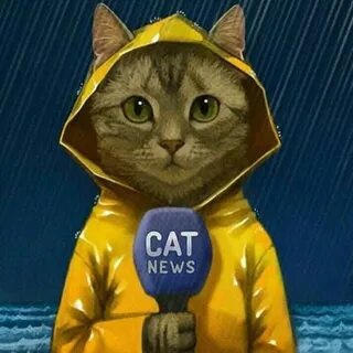 Новости о животных