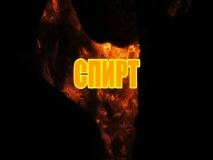 СПИРТ (2008)